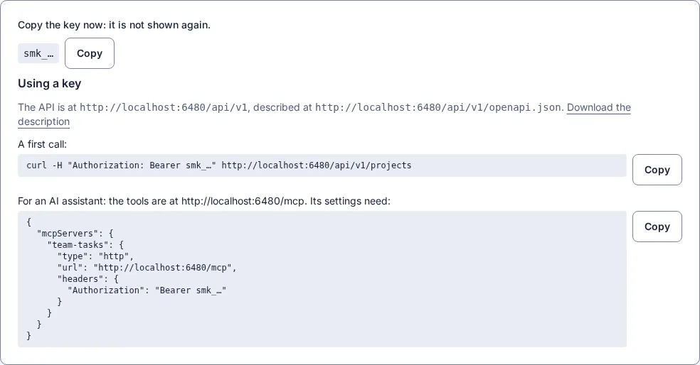 A key just made on the team page: copy it now, the API's address, a first call to copy, and the settings an AI assistant needs